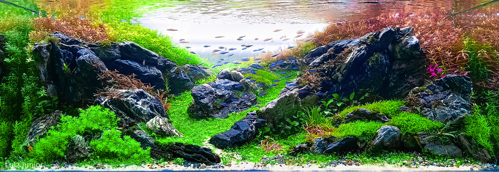 Between the Mountains