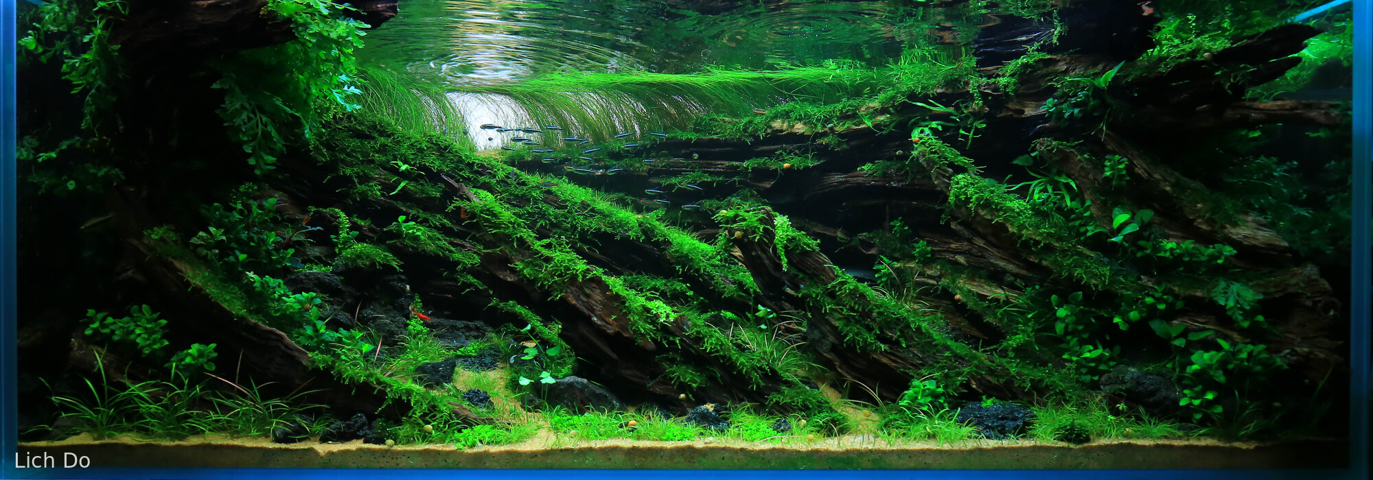 The Returning Breeze