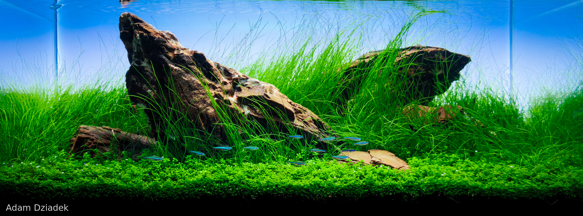 The weight of silence