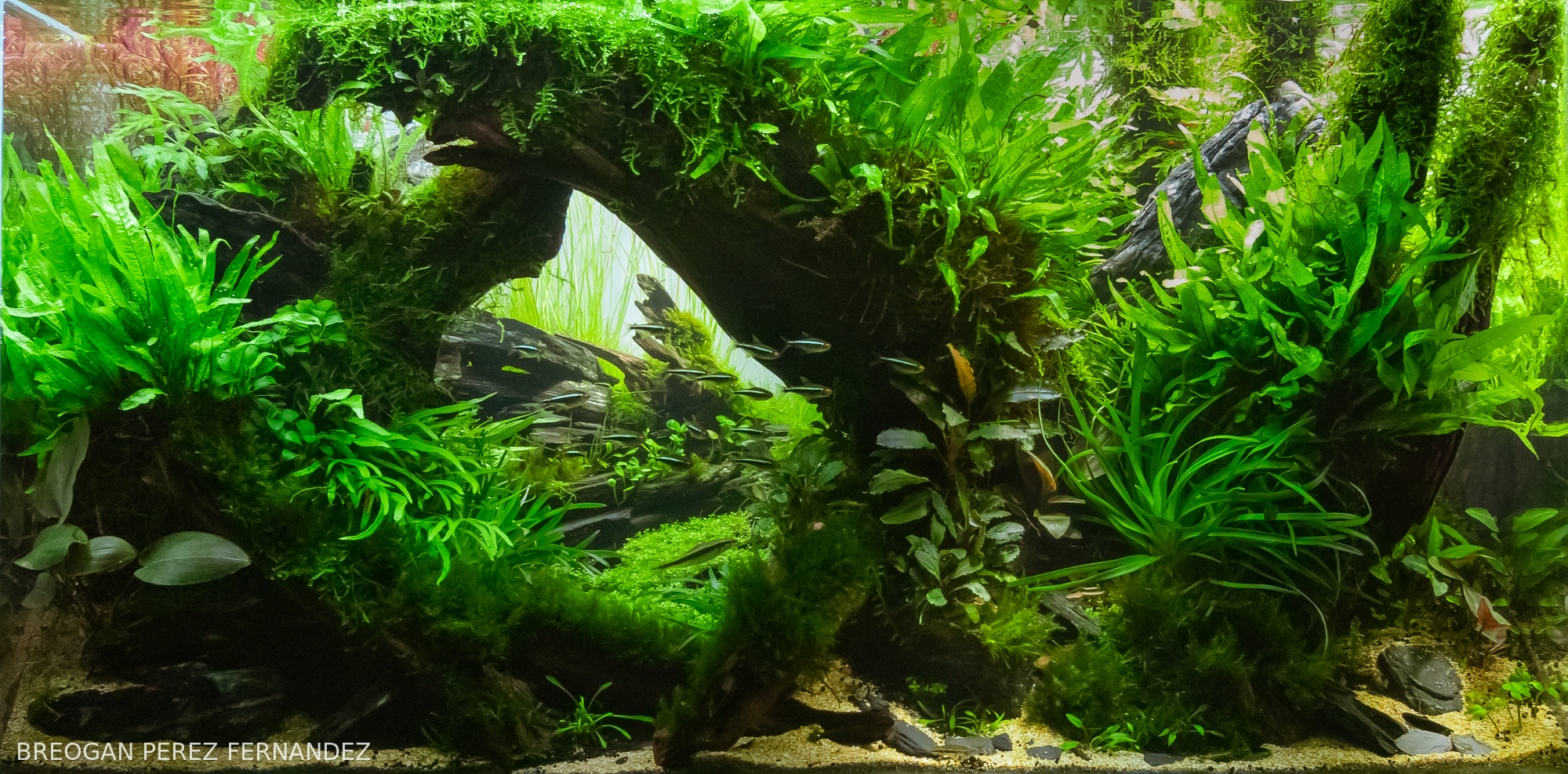 Sunrise at the Coventina´s fountain