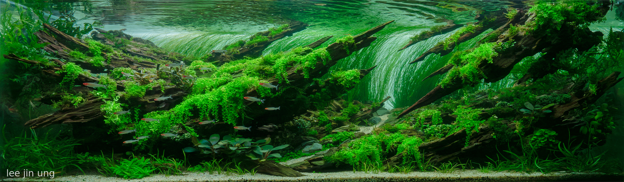 Journey to Happiness