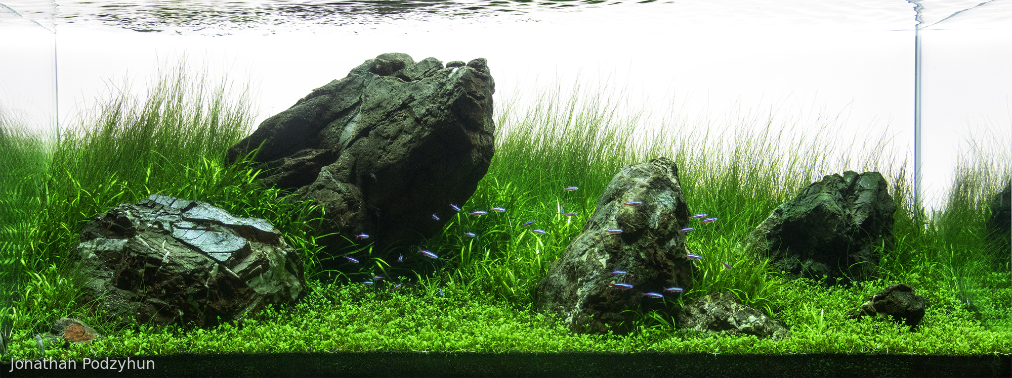 At peace in the flow