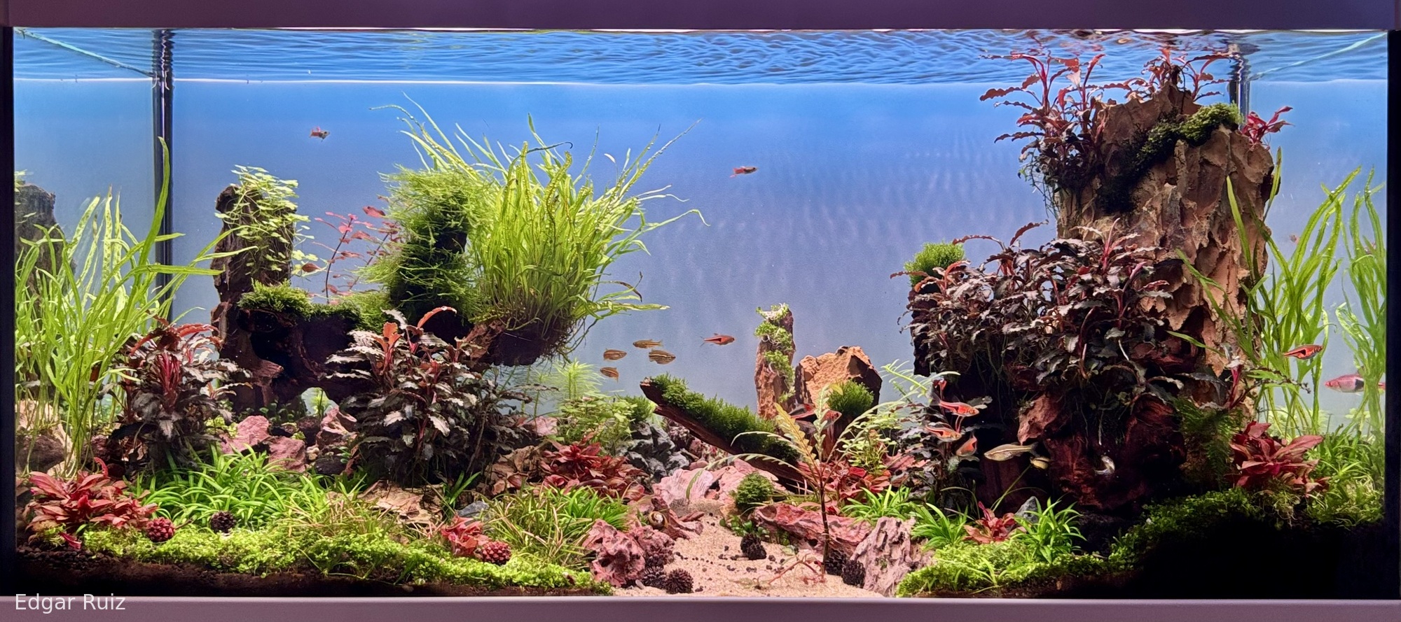 Beneath the Whispering Peaks