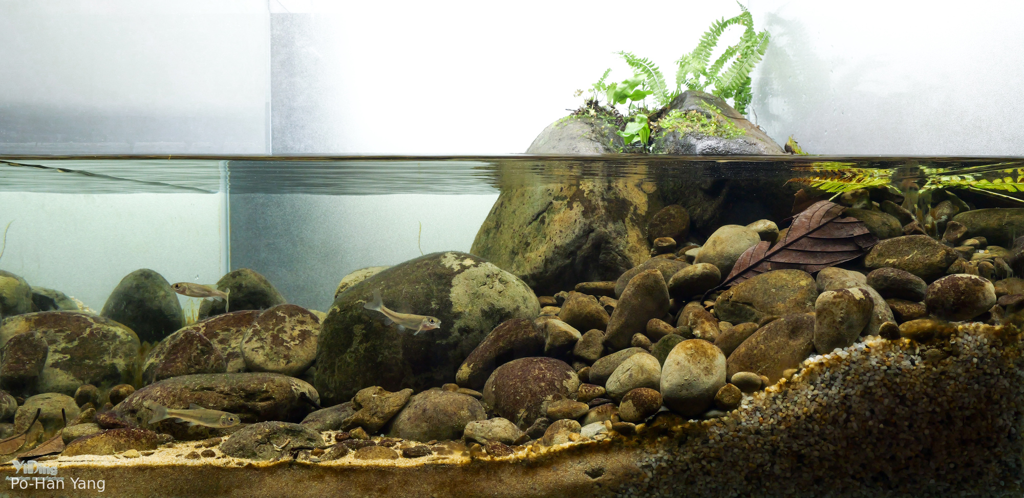 Bank of an Upper Tributary of the Youluo Stream