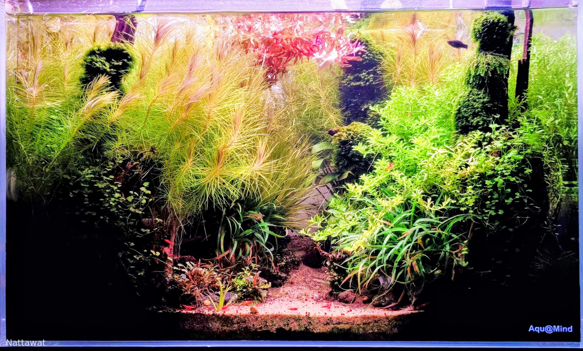 on both sides of the road