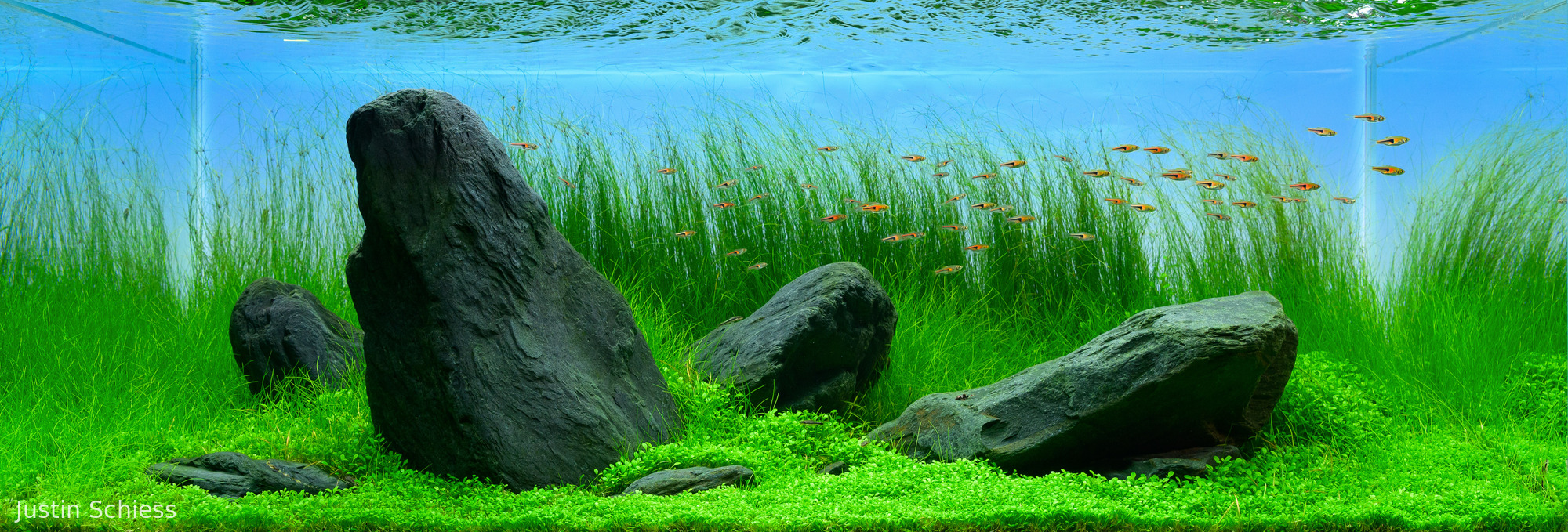 Water Falls, Crane Rises