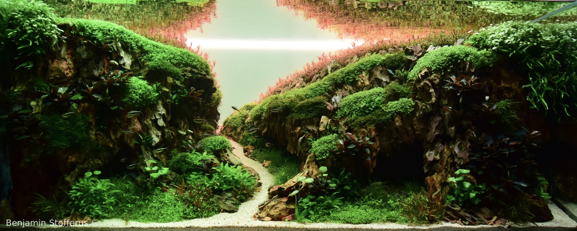 Hidden aquatic realms