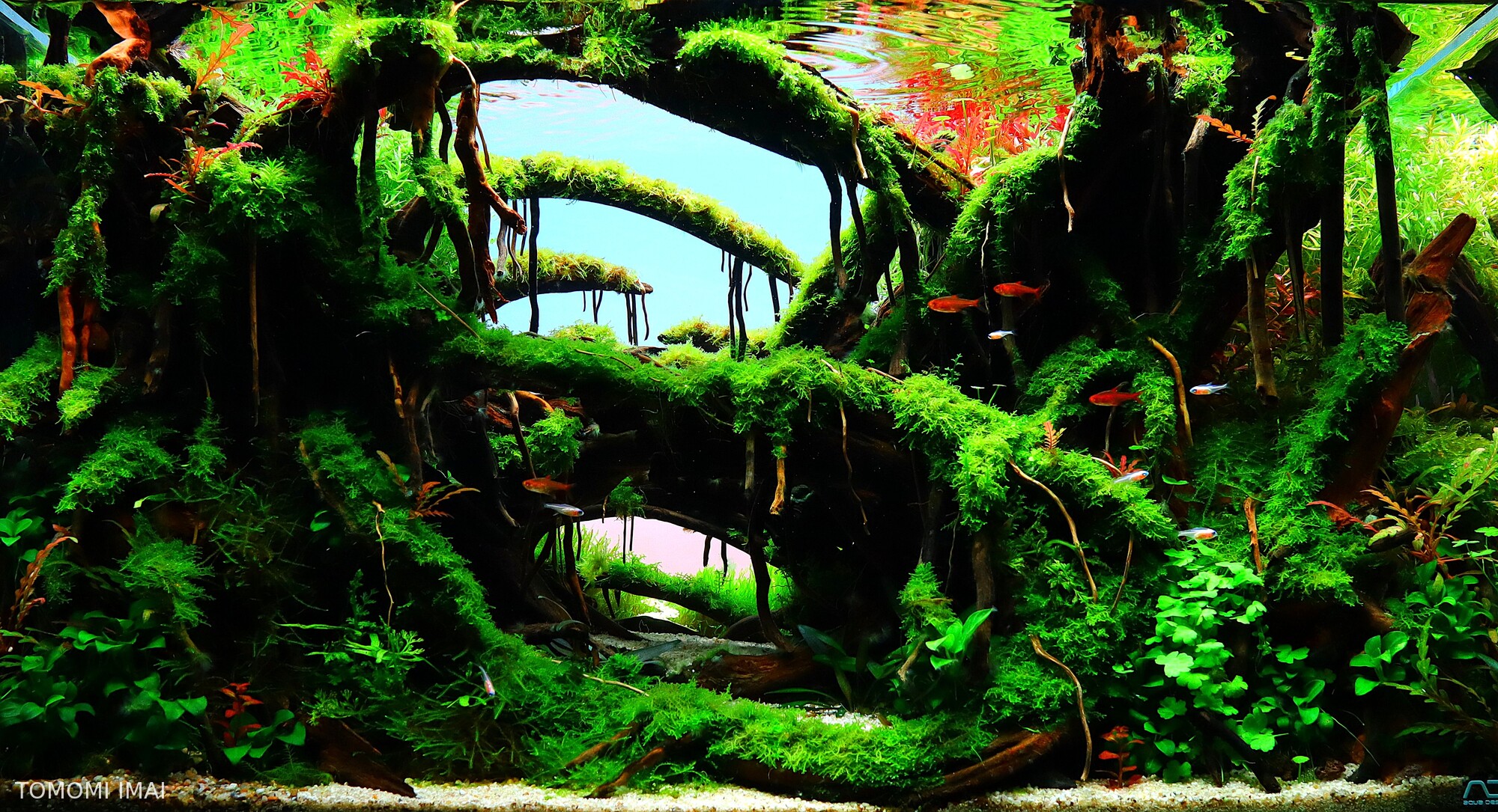 The sound of life dripping