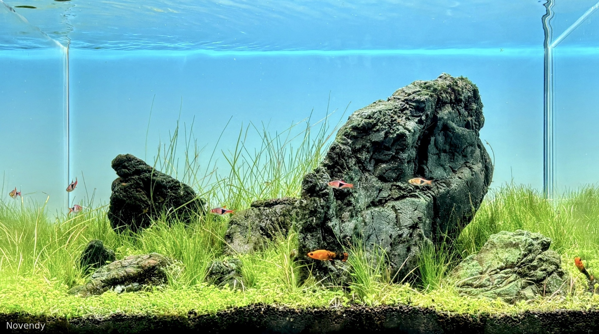 Tanjung Karang Timur