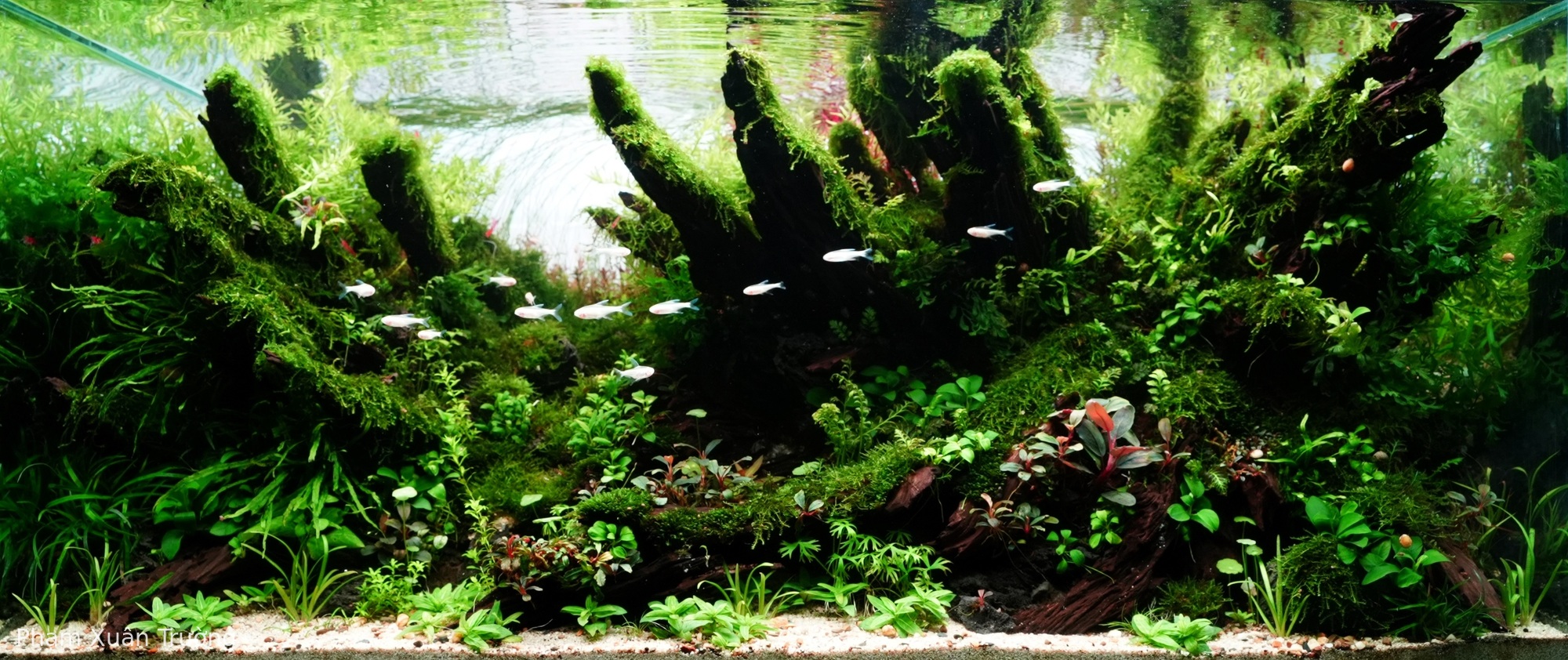 Back To The Beginning