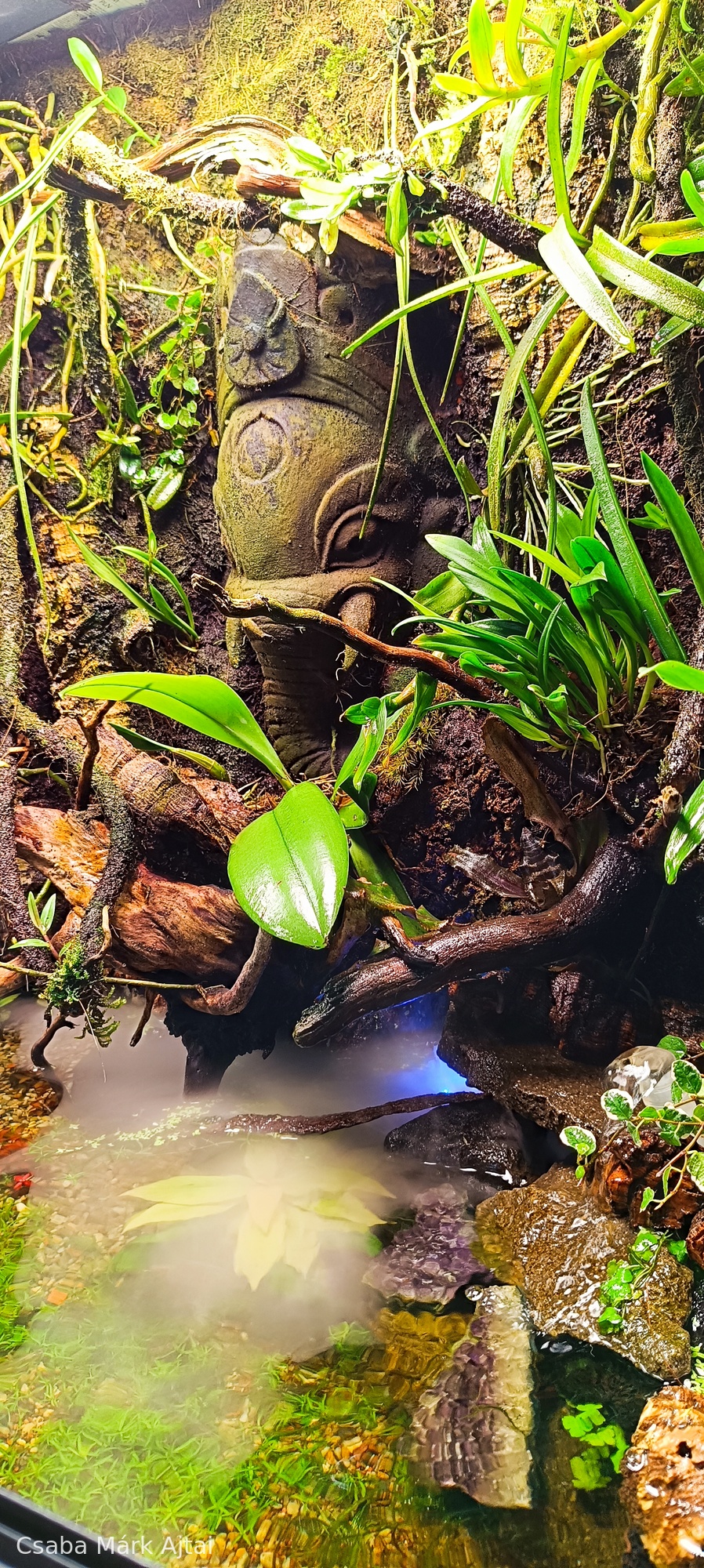 "hinduista szentély"