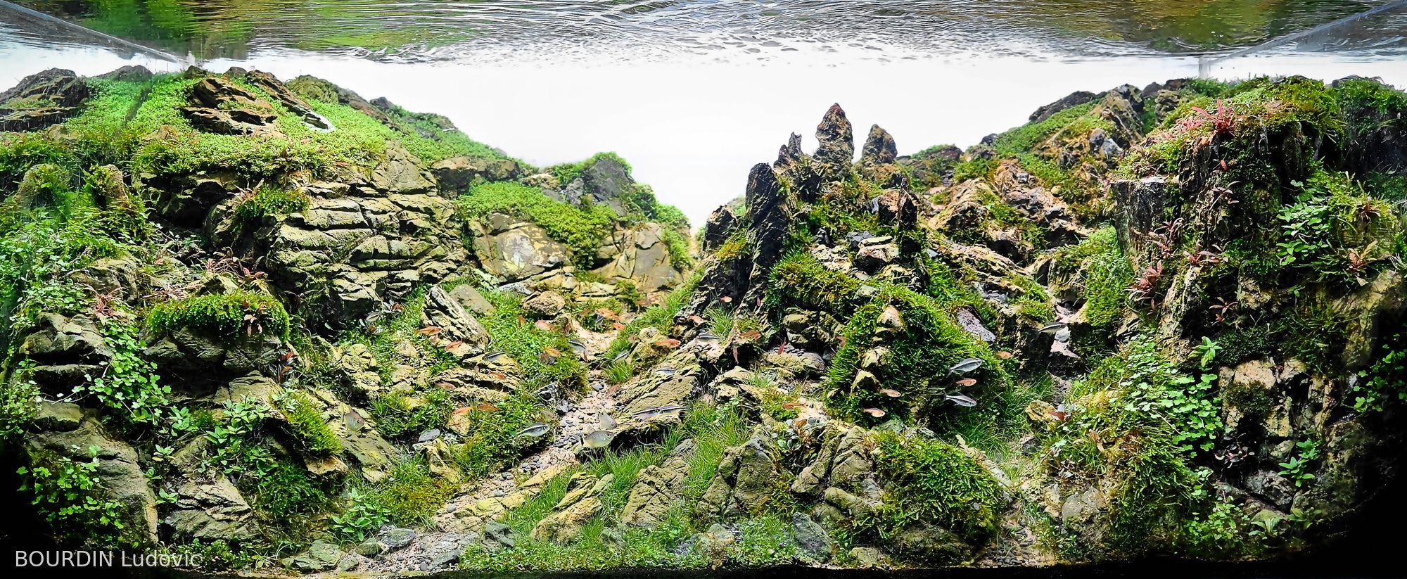 The Higlands Paths-Part 1