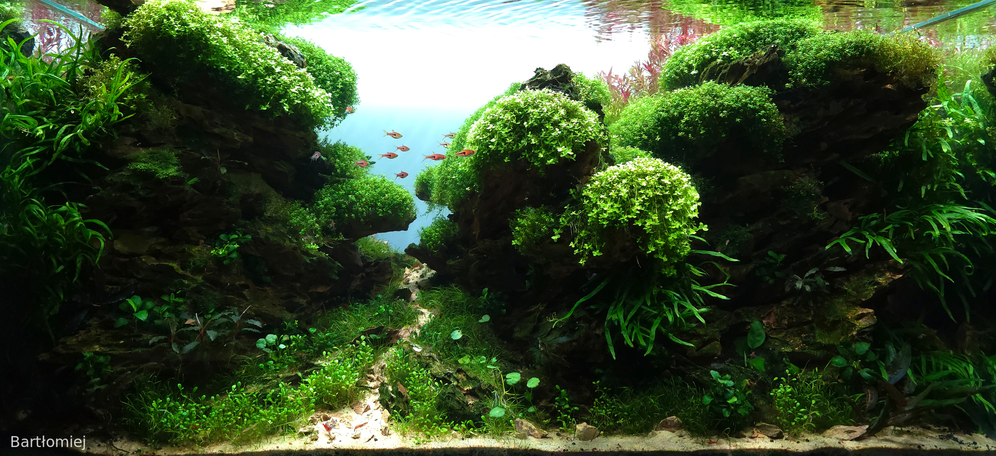 Across the silent rift