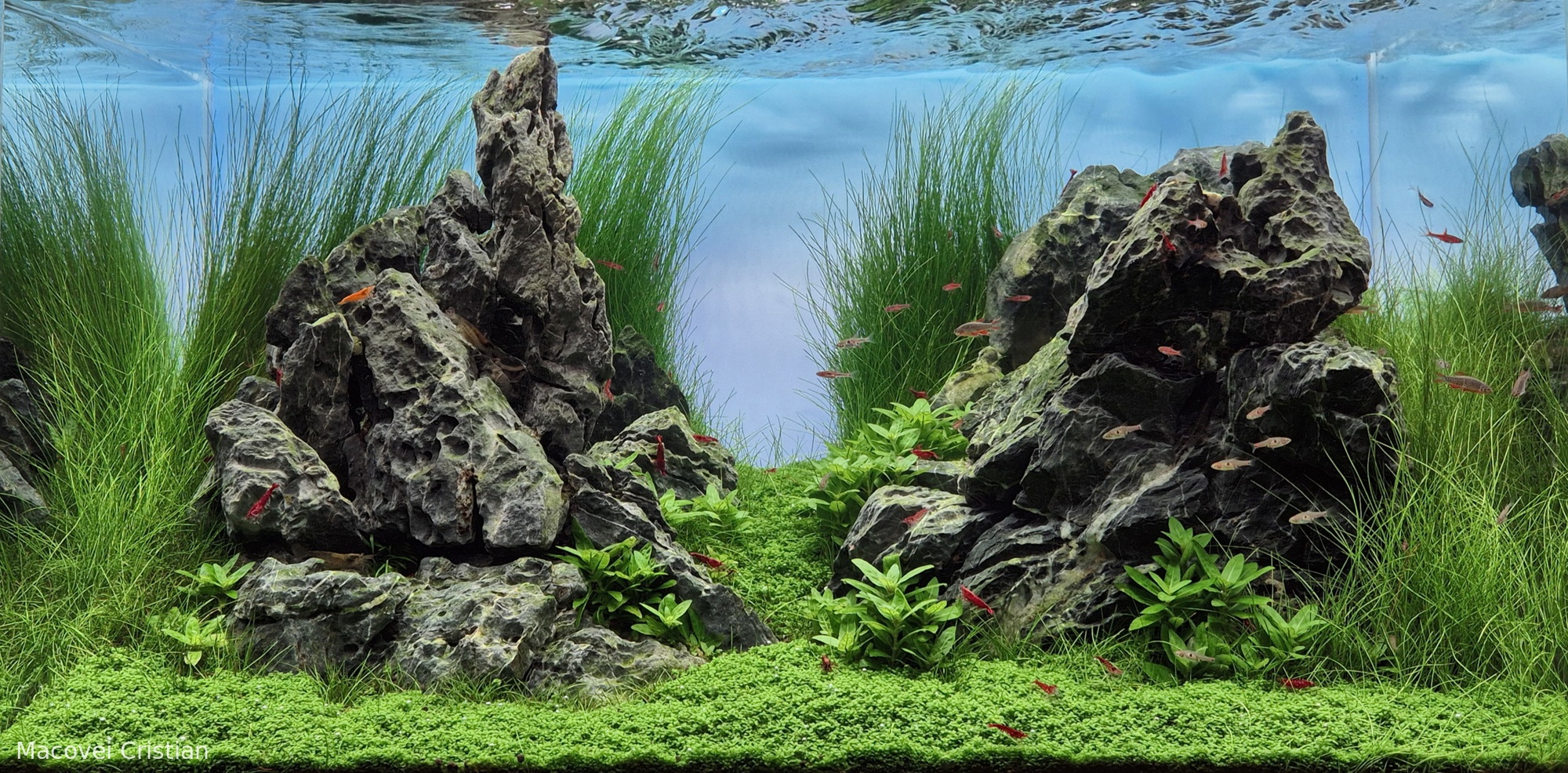 Between Two Mountains