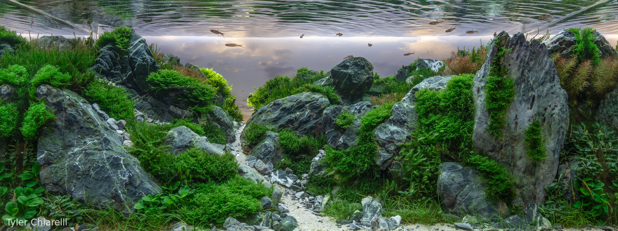 Yūgen: Valley of Depth