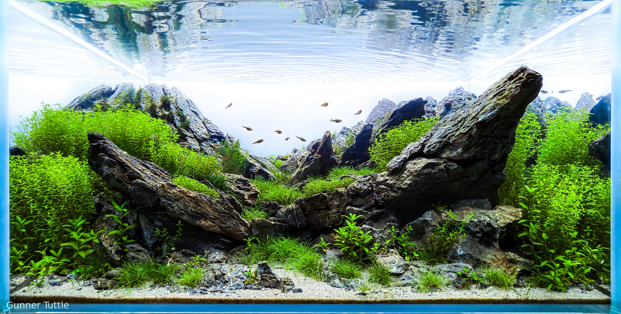 Footprints of Glaciers