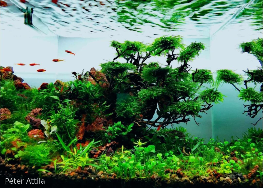 The silence of the moment