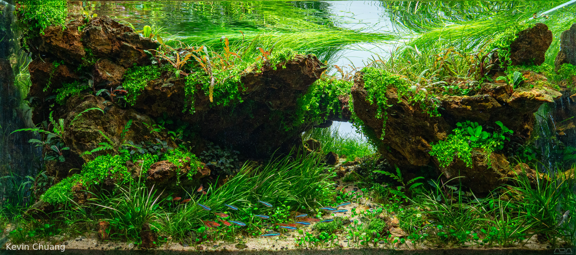 Carved by the stream