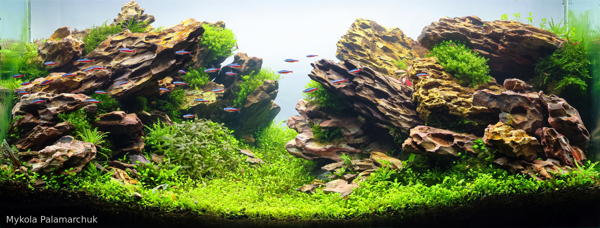 Ray of light in the silence