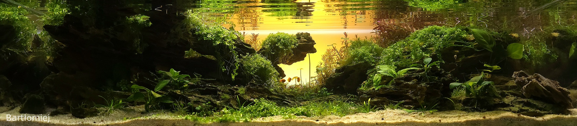 Where light meets silence