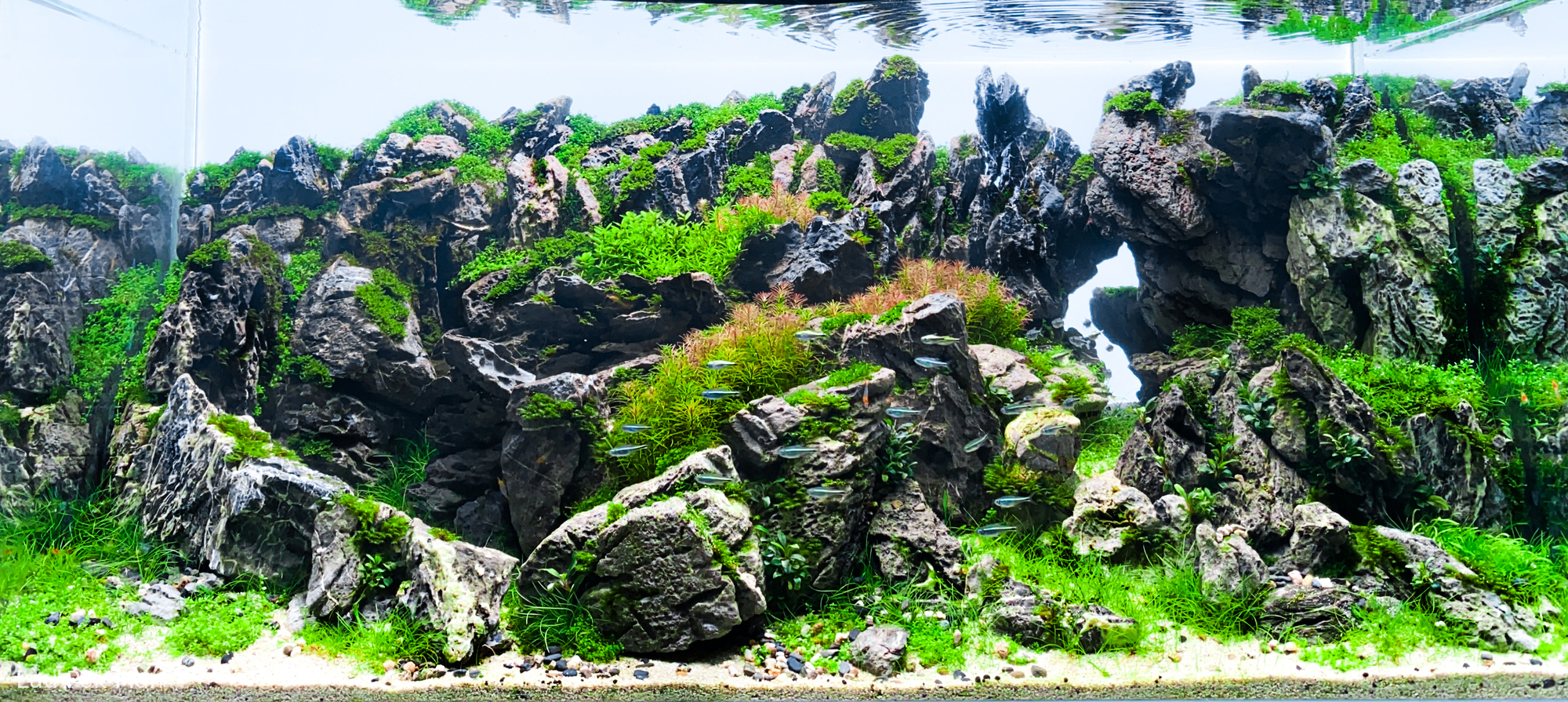 岩 ‧ 幕 Rock Curtain