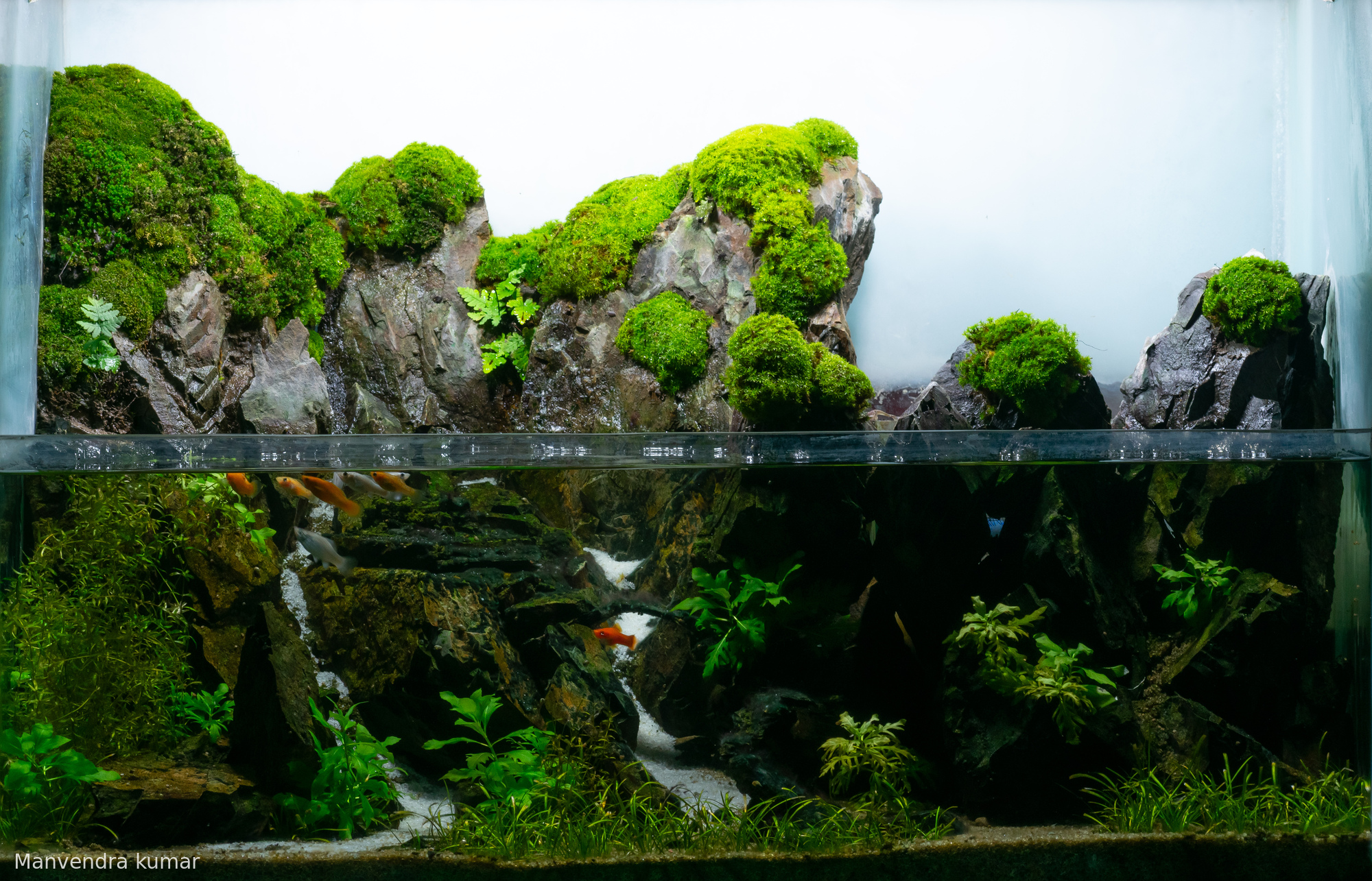 The Forbidden Valley