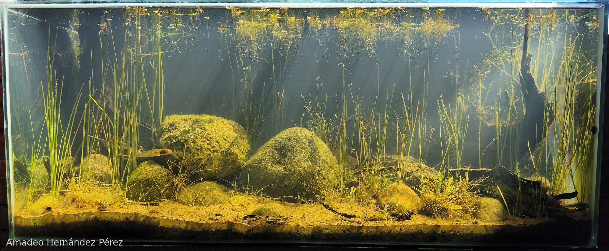 Laguna El Arco, Ocoyoacac. México