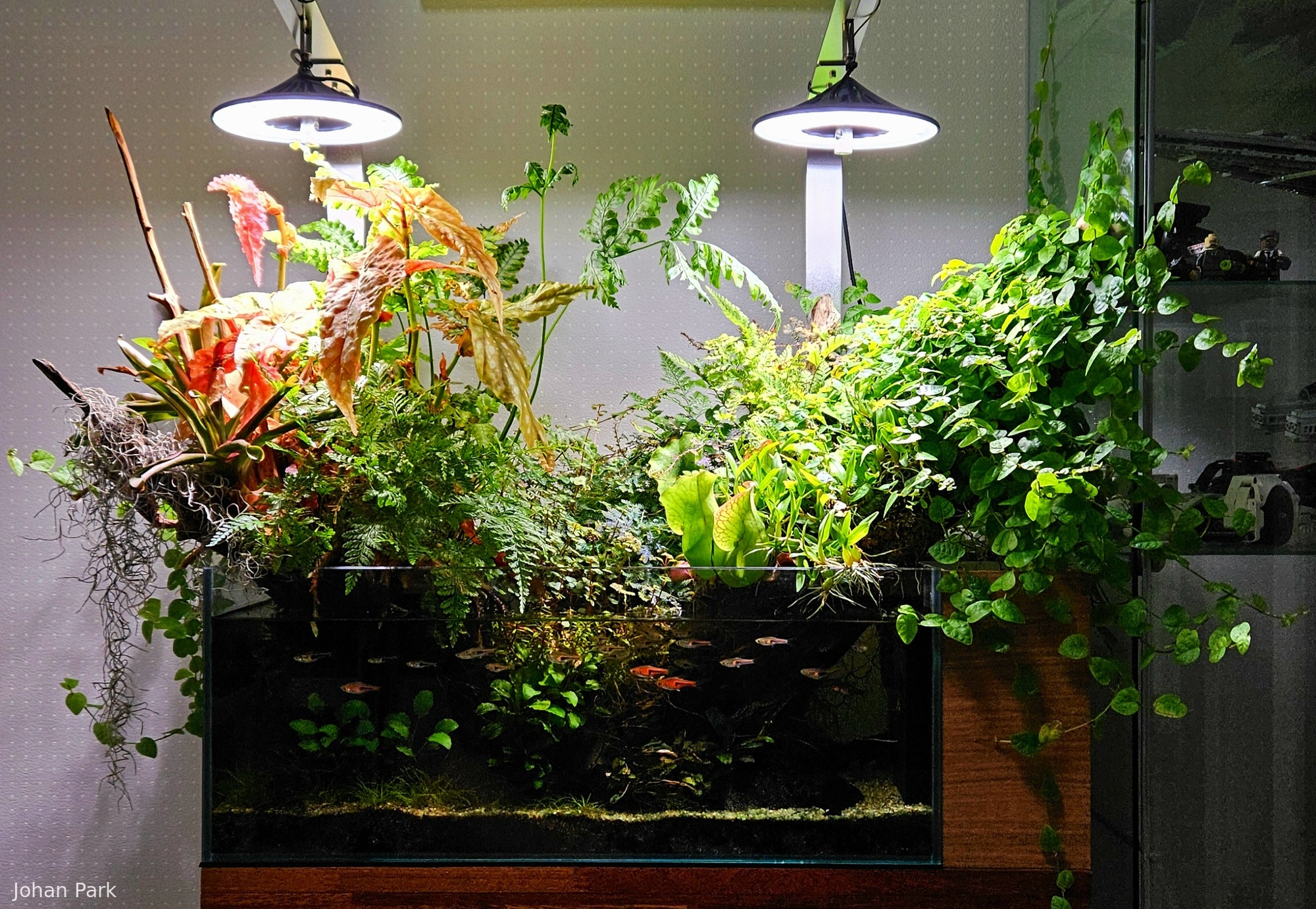 Where the rainbow has fallen