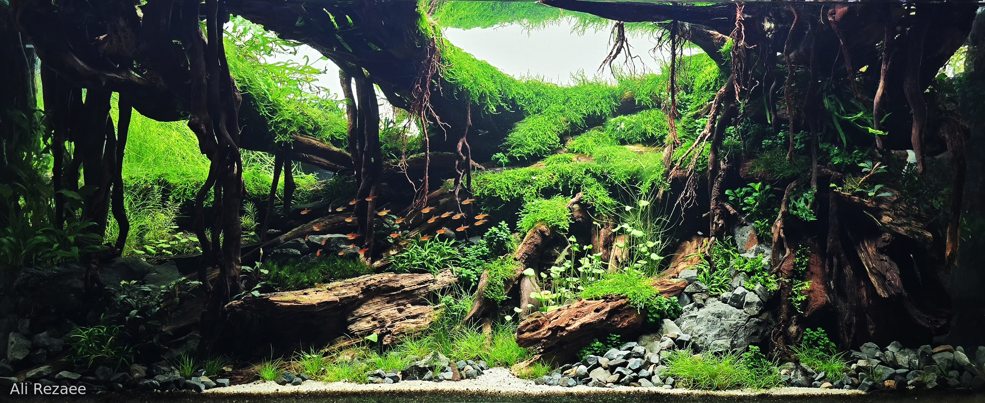 No one found this valley