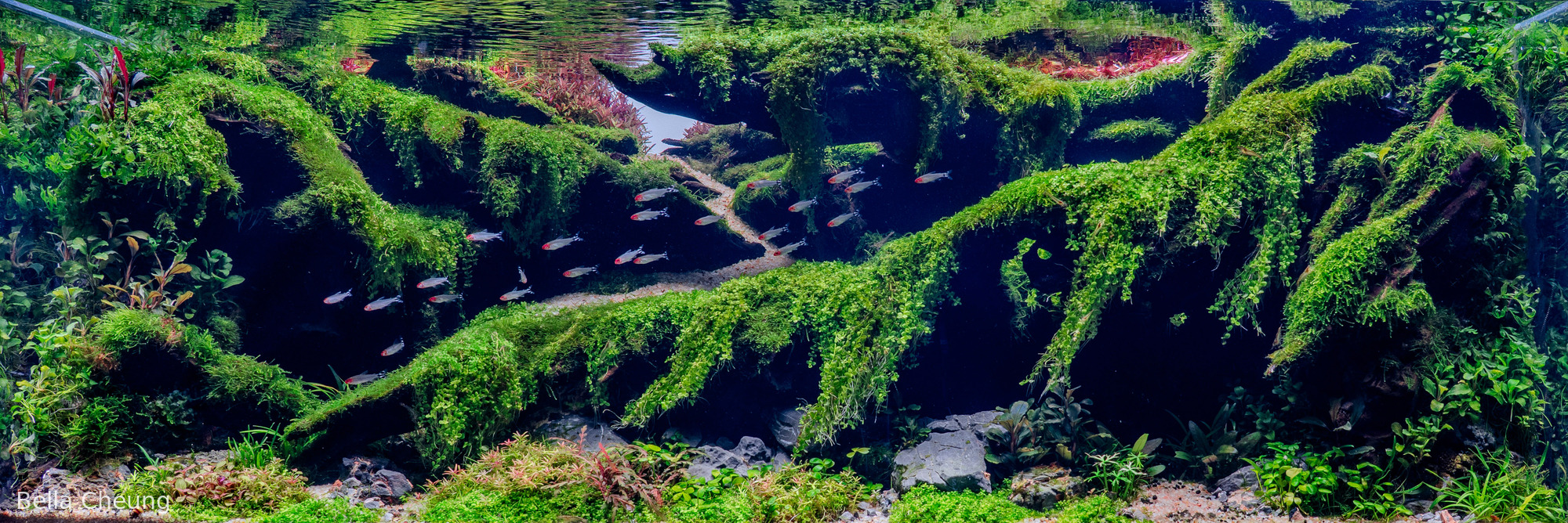 Suspended Rhythm 悬律