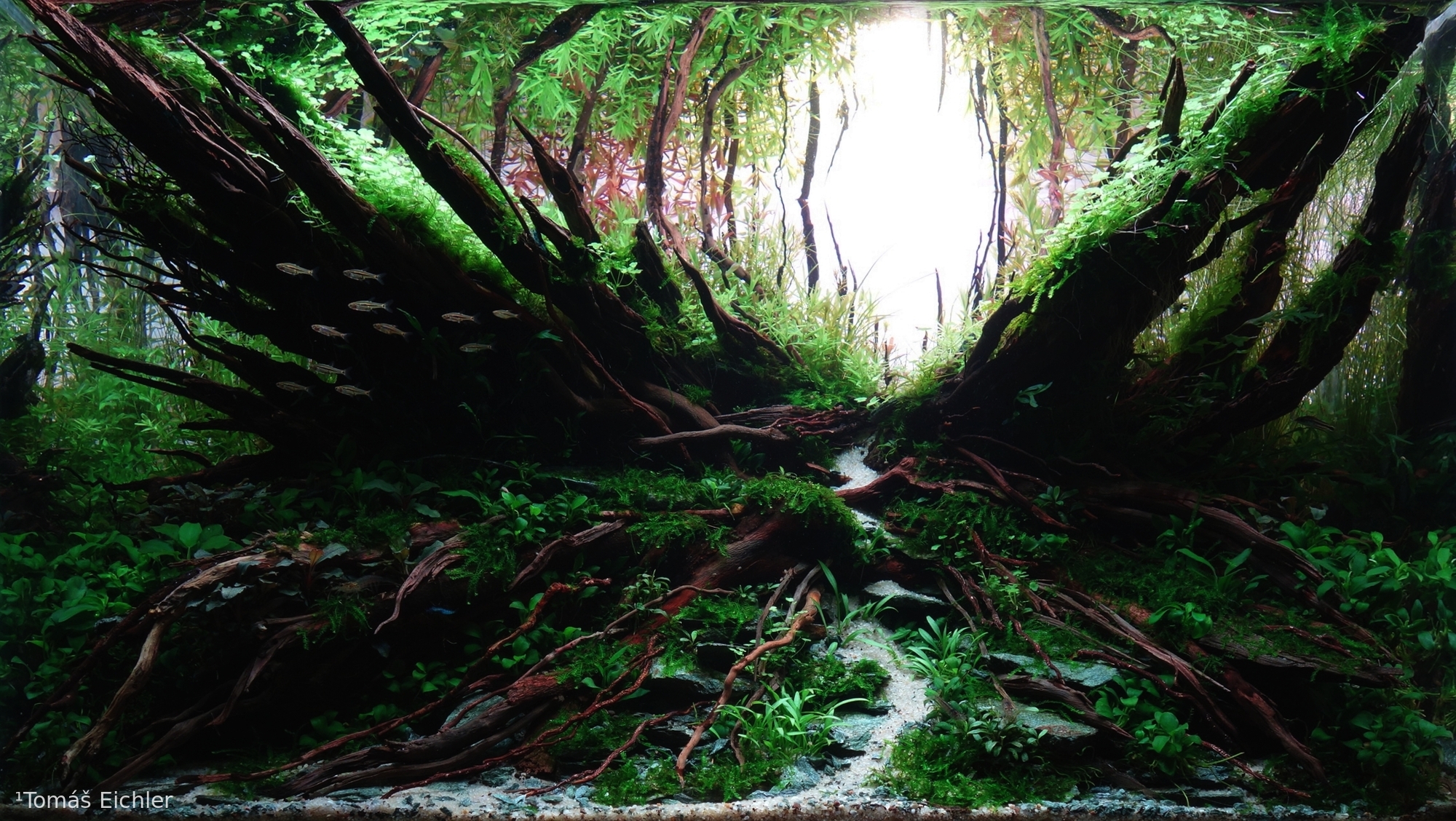 Nature Xscape