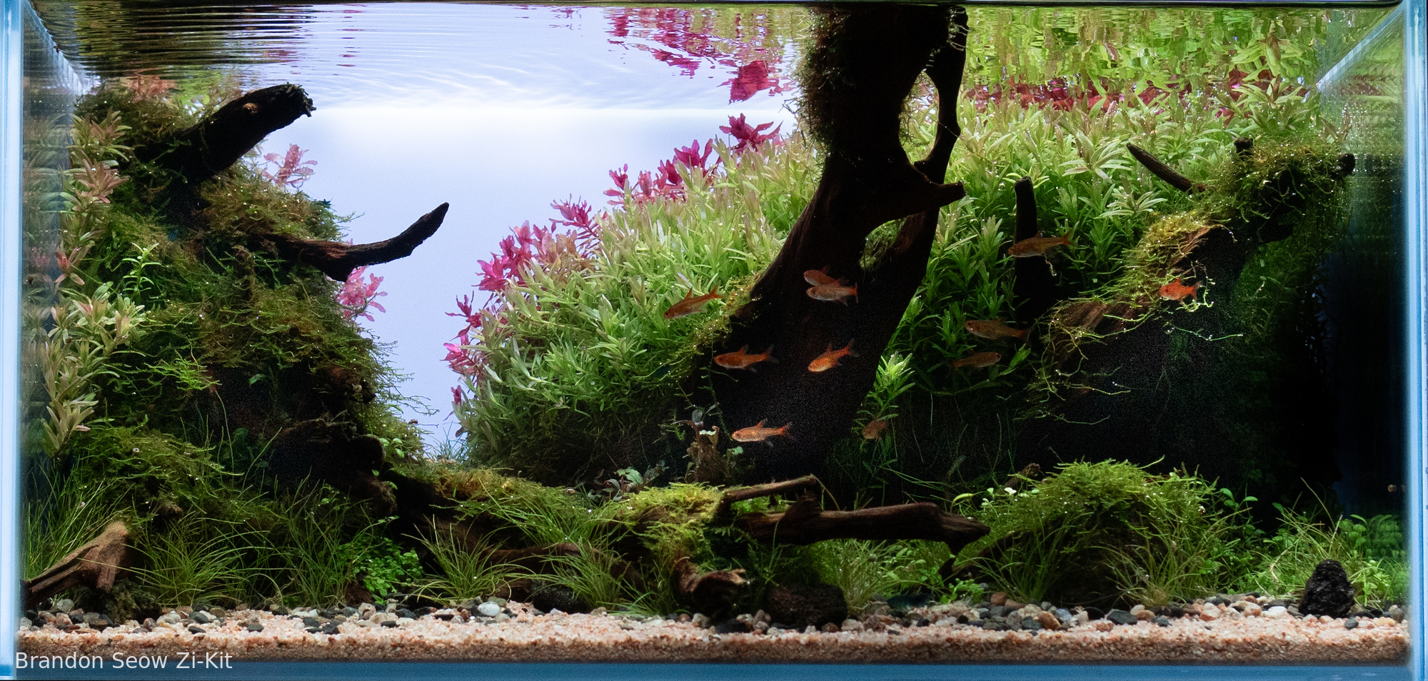 Whispers of the Valley