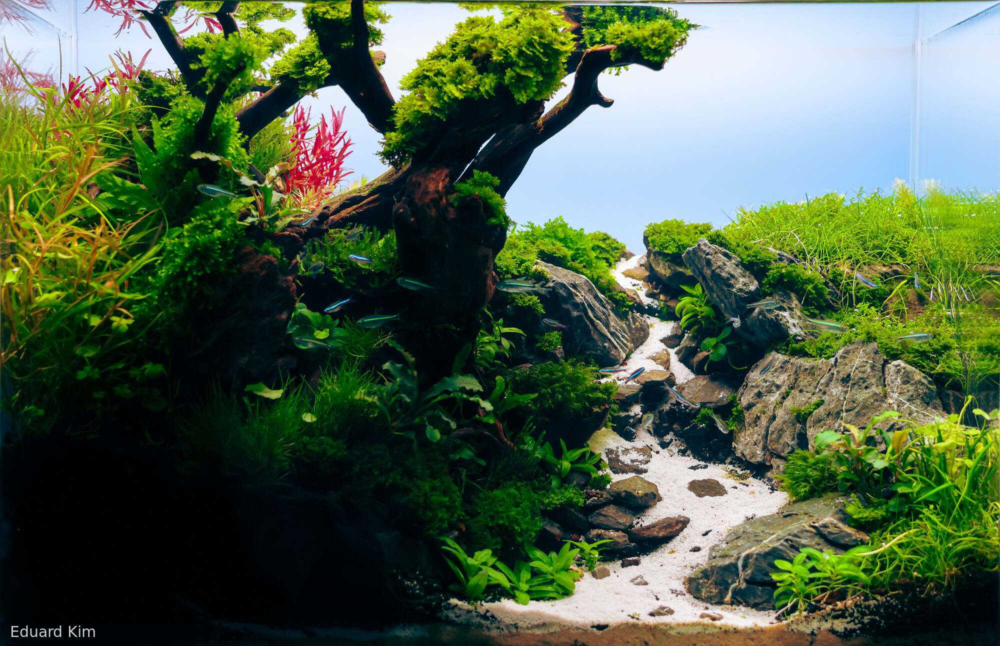 Path Through the Gorge