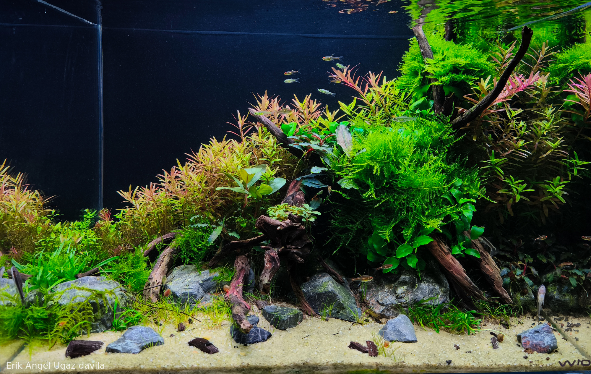 spiritual inspiration