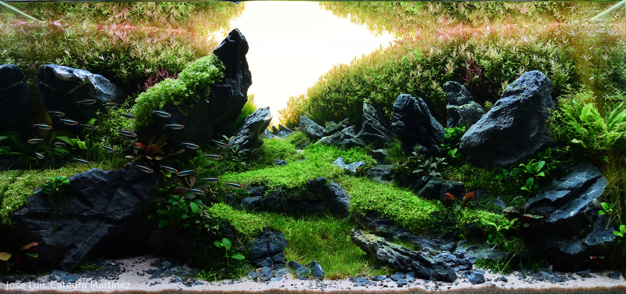 The whisper of the stones