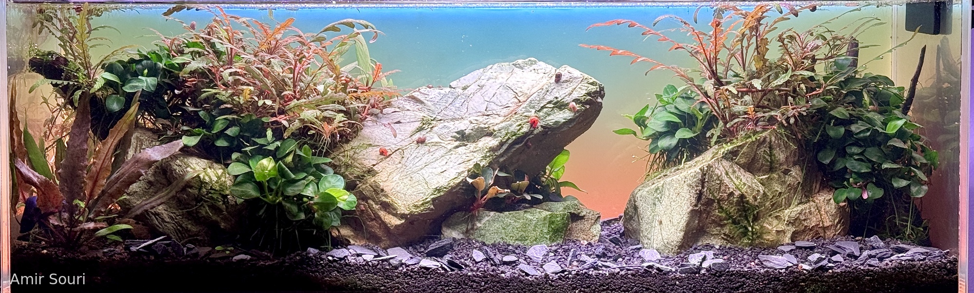 The Last Light on the Standing Stones